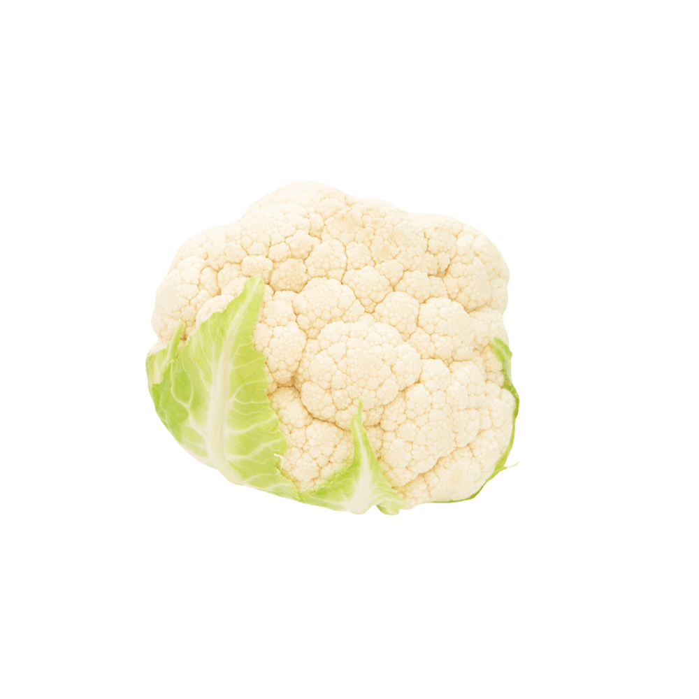 product-02 product-02