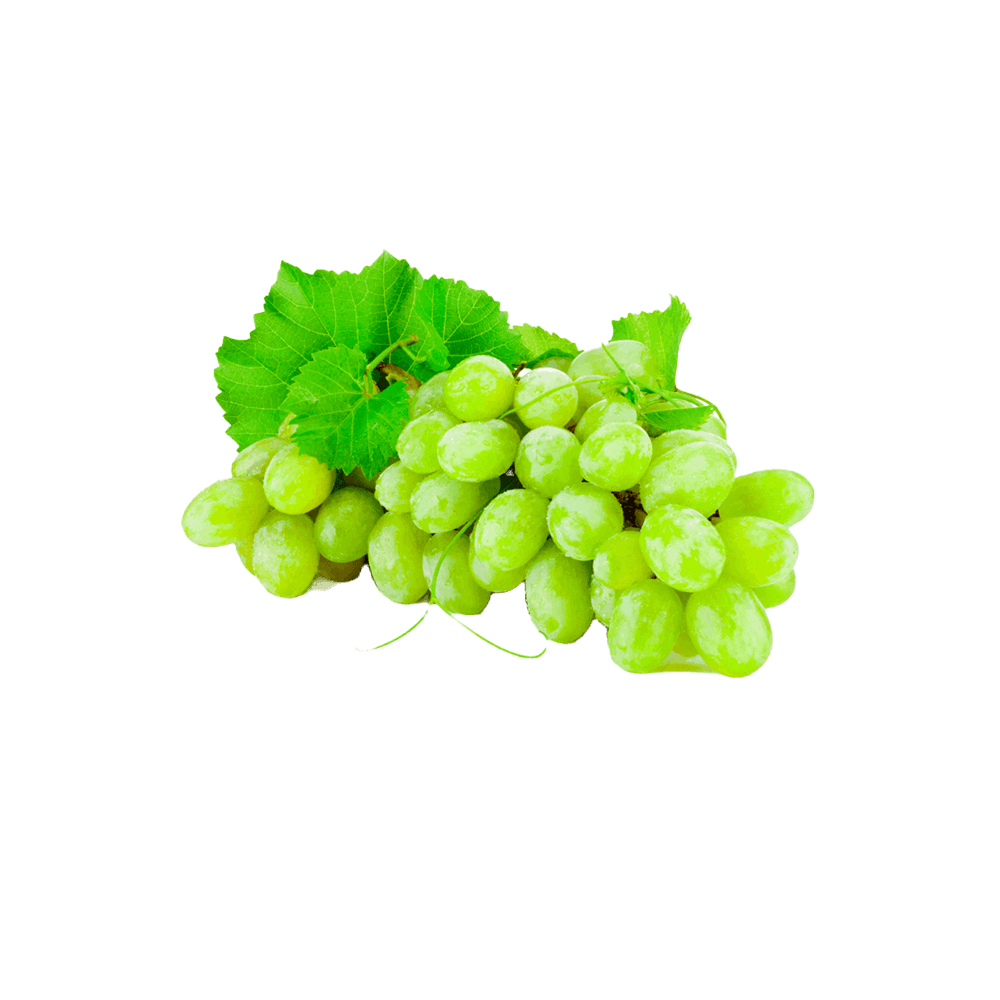 Green Cabbage – Seeds House